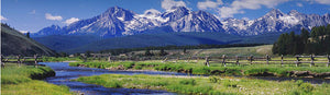 PIONEER ASSOCIATES